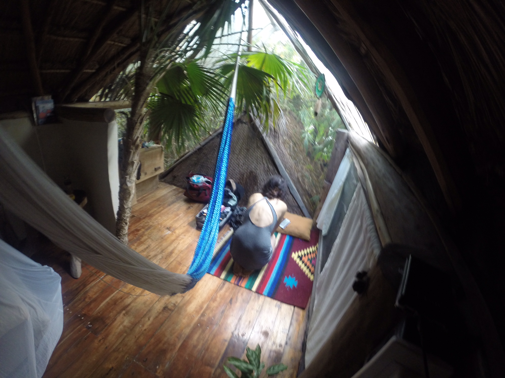 Blog Twenty One: Yucatan? I’m Not Sure I Can